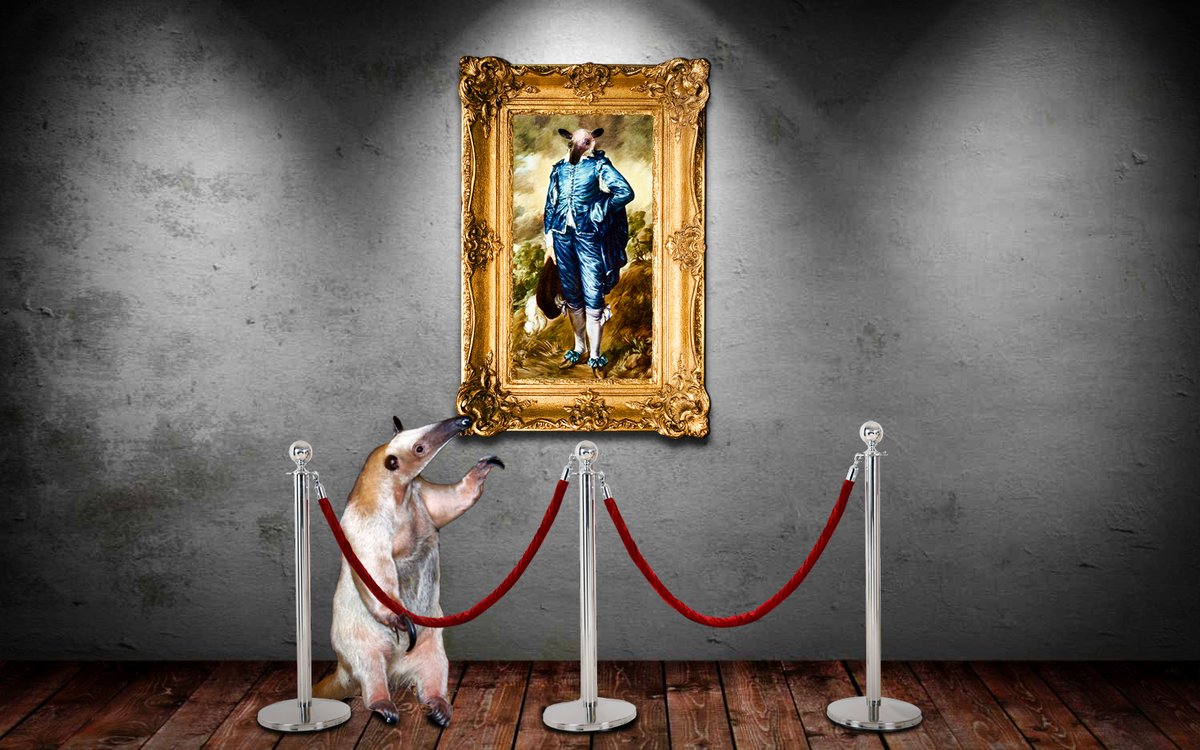 WVermilingua's tweet photo. I've been back in the dressing-up box to recreate a famous Old Master painting!
https://t.co/pSO9lYJMrB
#animalsoffacebook #anteatersofinstagram #internetanimals #cuteanimals #onlineanteaters #anteater #animalsofinstagram #IGanimals #Gainsborough #BlueBoy #oldmaster #painting https://t.co/u0AWiaON4B