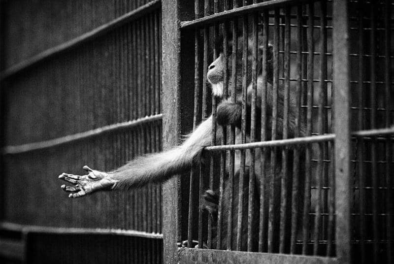 proudpakistan0's tweet photo. We have a few weeks lockdown..
Imagine a whole life time..
#LockdownExtended https://t.co/AUw3HdpMjQ