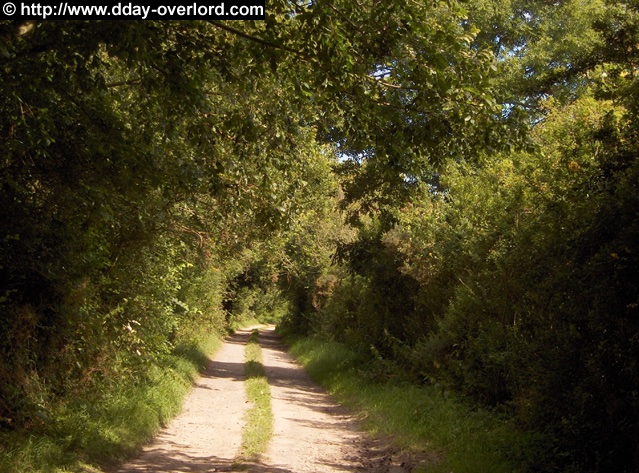 Le bocage, c’est ça. Des successions de haies hautes, d’allées entourées d’arbres, de marécages etc On ne voit rien depuis le sol. Et ce terrain est particulièrement adapté à La défense. Le camouflage allemand est parmi les plus efficaces au monde.