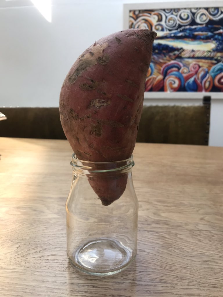 Hannah Nicholls tweet media