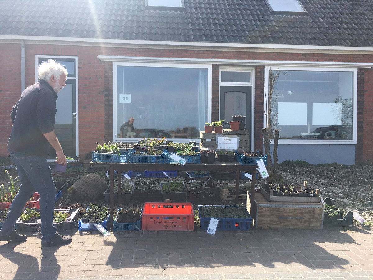 Vanmorgen ook plantjes gekocht in Den Andel <a href="/HetHogeland/">Gemeente Het Hogeland</a> De opbrengst is voor het dorp. In 2018 voor 2500 euro verkocht. 1 plant = 1 euro. Vanwege de Corona vreest men nu ook minder opbrengst. Helaas gaat de jaarlijkse plantjesmarkt in april niet door. Dus mensen, koop plantjes.