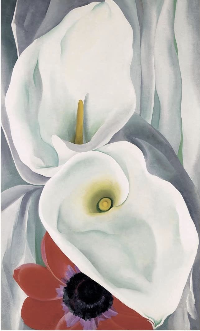 Lilies..
#GeorgiaIKeeffe #EasterWeekend