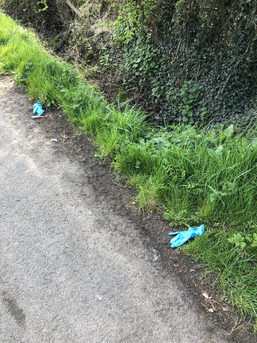 Antonia Law tweet media