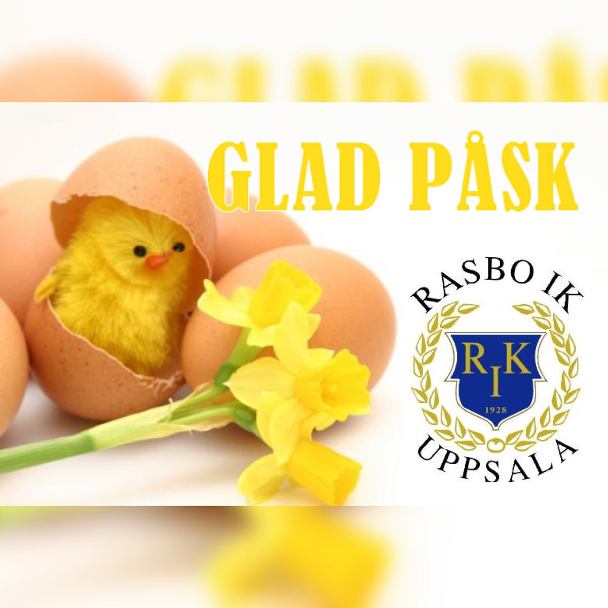 RASBO IK VILL ÖNSKA ALLA SUPPORTRAR EN RIKTIGT GLAD PÅSK 🐣 
•••
Nästa vecka kommer många spelare att presenteras på våra sociala medier så håll utkik!
•••
#RASBOSTILEN #RIK #RASBO #GLADPÅSK