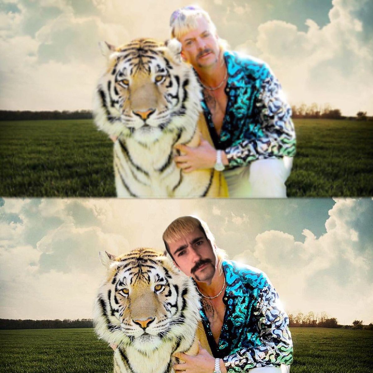 The newest tiger king in town