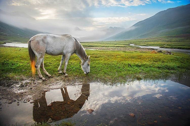 pakistanisdream's tweet photo. Mullah ki Basti, Lulusar-Dudipatsar National Park, Kaghan Valley, Khyber Pakhtunkhawa, Pakistan

@ali_awaiss
#Pakistan #Gilgitbaltistan #instatravel #travel #travelgram #voyaged #travelinspiration
#traveladdict #travelawesome #wanderlust #passionpassport #voyaged #bbctravel https://t.co/HB7j3iIK7L