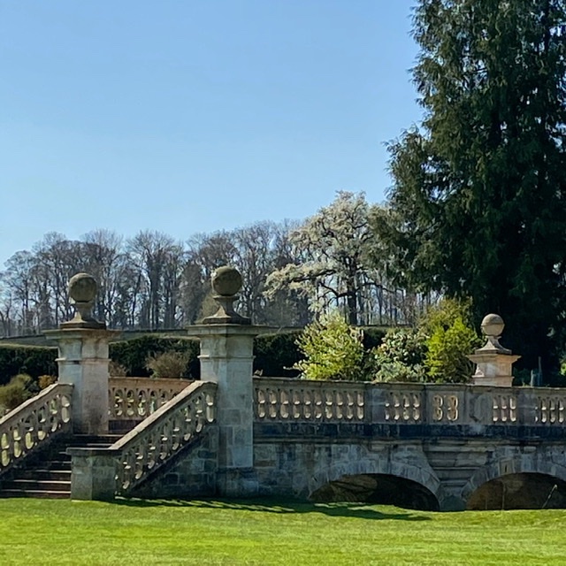 Today we should have been open in aid of <a href="/NGSOpenGardens/">National Garden Scheme</a> the biggest supporters of Hospice UK. To show your love for this great charity head over to their website ngs.org.uk where Mary Berry introduces some of the virtual videos available of gardens in the scheme