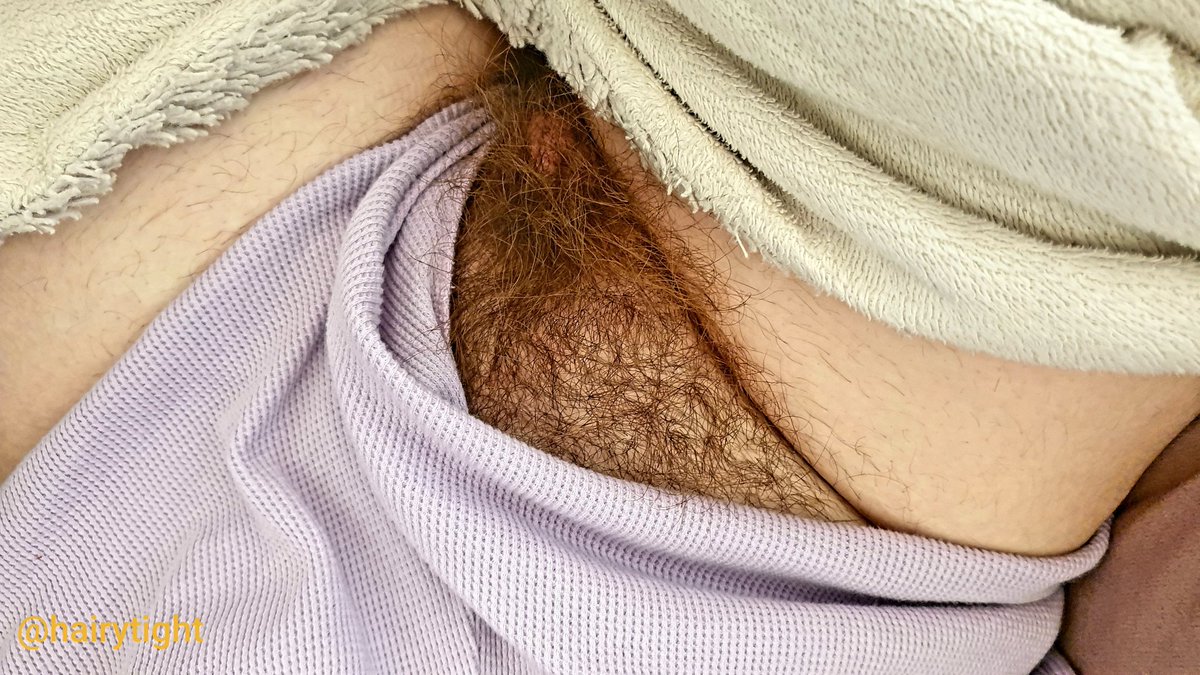 Peek a boo. #sexypubes. pic.twitter.com/HpYKAzMdTE. #hairy. 