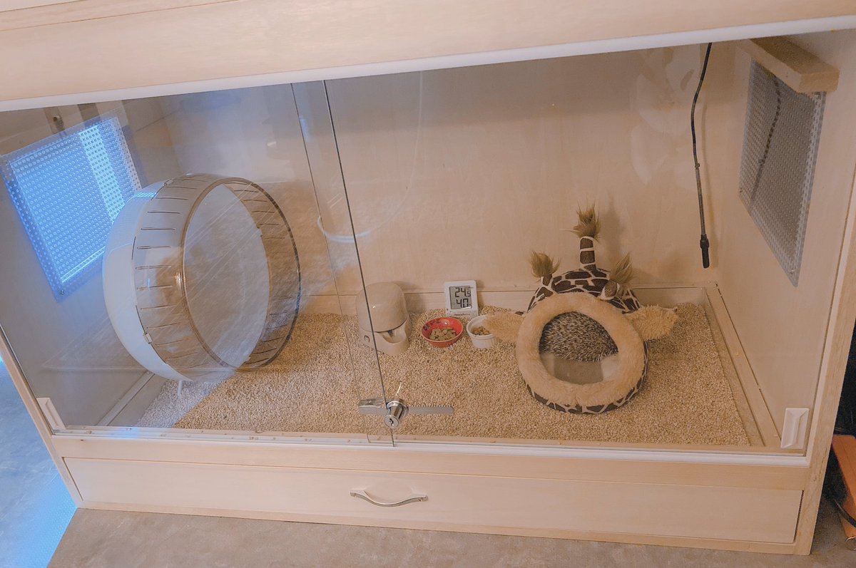 FandK爬虫類木製ケージ ハリネズミ仕様 800×450×450 - inisnu.ac.id