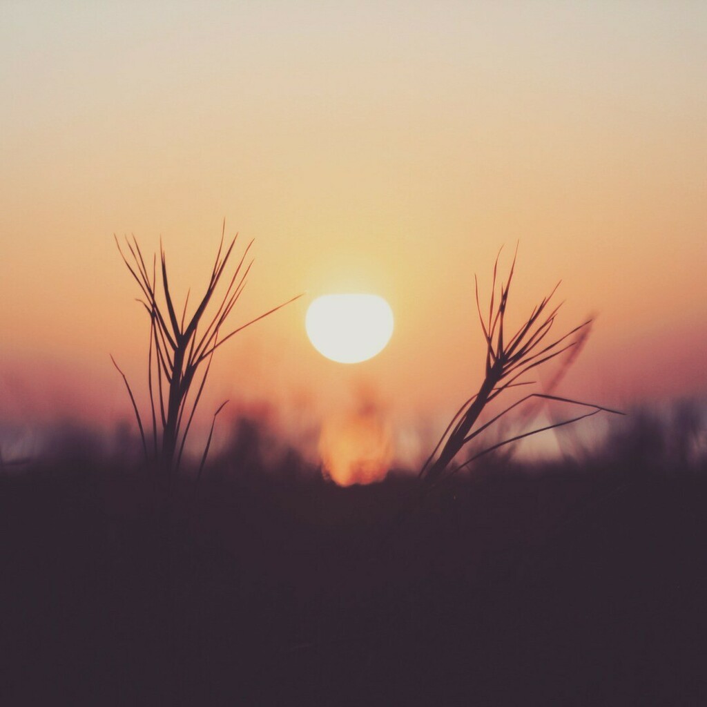 SjaakDeKapitein's tweet image. Nieuwe instagram tool. Vanaf je PC even snel iets plaatsen. Gewoon omdat het kan, en om even te testen natuurlijk.

De foto is genomen bij Egmond aan Zee vorig jaar.

Hierboven zit een spatie! 👊🏻😃 #tool #instatool #test #egmondaanzee #sunset #zonsond… instagr.am/p/B-zCo1mDlvU/