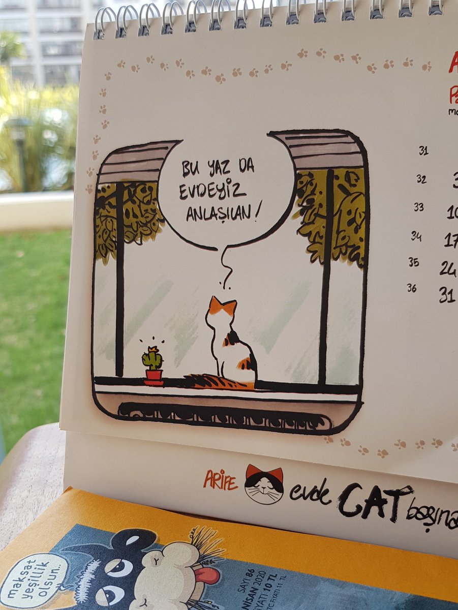 Bu yaz da evdeyiz anlaşılan!
#Arife #OTdergi 👉 otdergi.com
<a href="/evdecatbasina/">Arife</a> <a href="/rewhat/">rewhat</a>