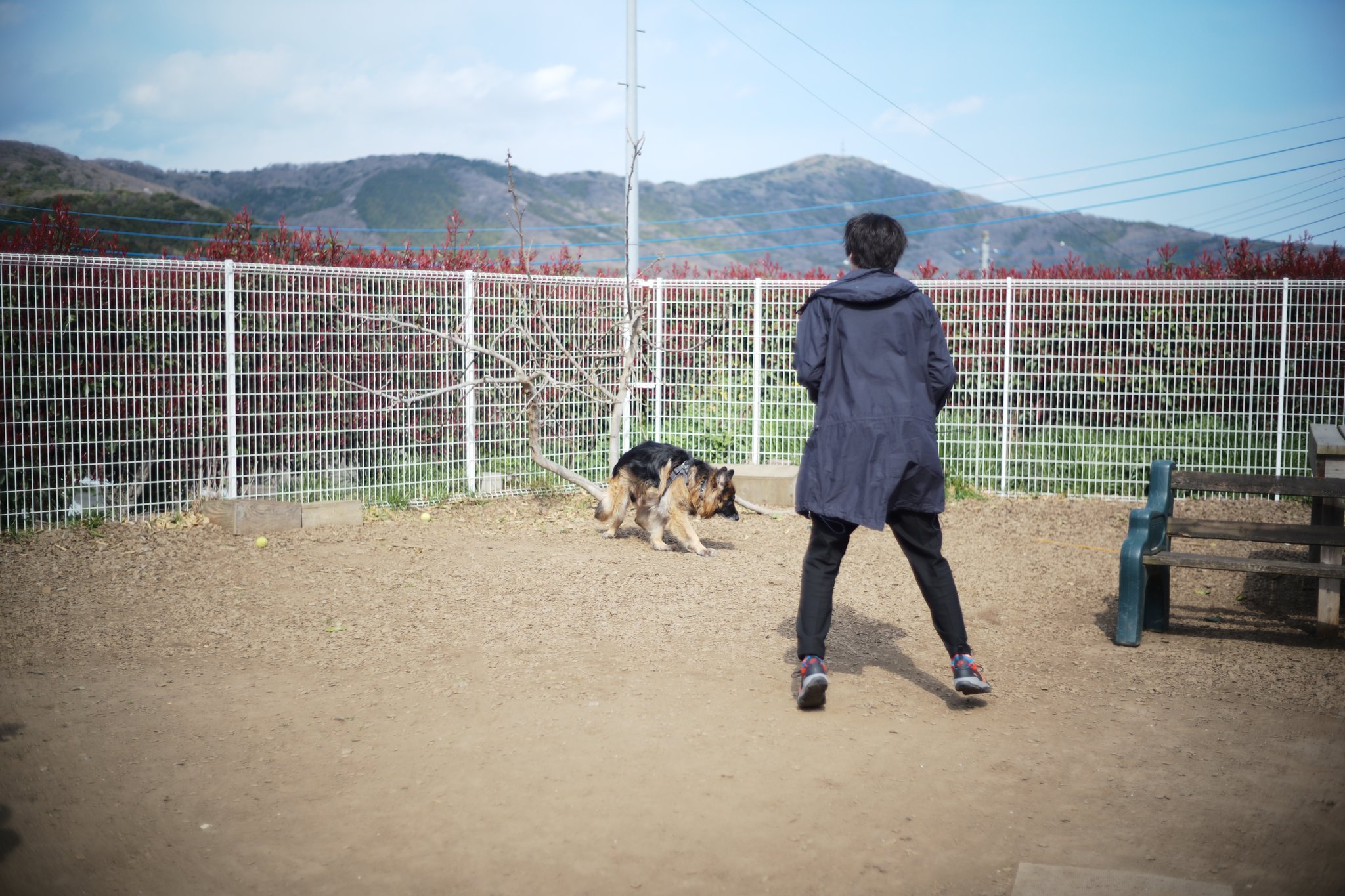 山田裕貴 明日は 志村動物園 です 志村さんにお会いできなくて 本当に残念です 小さい頃からずーっと 笑わせてもらった 保護 犬のわんこたちと楽しく過ごしました 近づくだけで怯えてしまう子もいました 自分に何が出来るだろうと 志村さんみたいに わんこ 山田裕貴 明日は 志村動物園 です 志村さんにお会いできなくて 本当に残念です 小さい頃からずーっと 笑わせてもらった 保護 犬のわんこたちと楽しく過ごしました 近づくだけで怯えてしまう子もいました 自分に何が出来るだろうと 志村さんみたいに わんこ