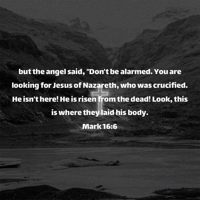 JoshuaEargle's tweet photo. In the midst of whatever hopelessness you may experience, HE can handle it!!
The greatest VICTORY of all time!
#ItsFridayButSundayIsComing https://t.co/Y5ePgQ0V2U