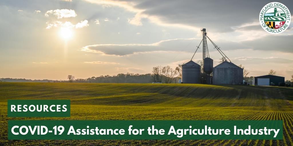 MdEquines's tweet photo. We want to thank the MDA and Maryland Horse Council for putting these links together- 
Agricultural businesses who are facing economic hardship brought on by COVID-19 may be eligible for several financial relief programs. @MdAgDept @MDHorseCouncil 
https://t.co/6W3dITWt6r https://t.co/nYVSmshZvJ