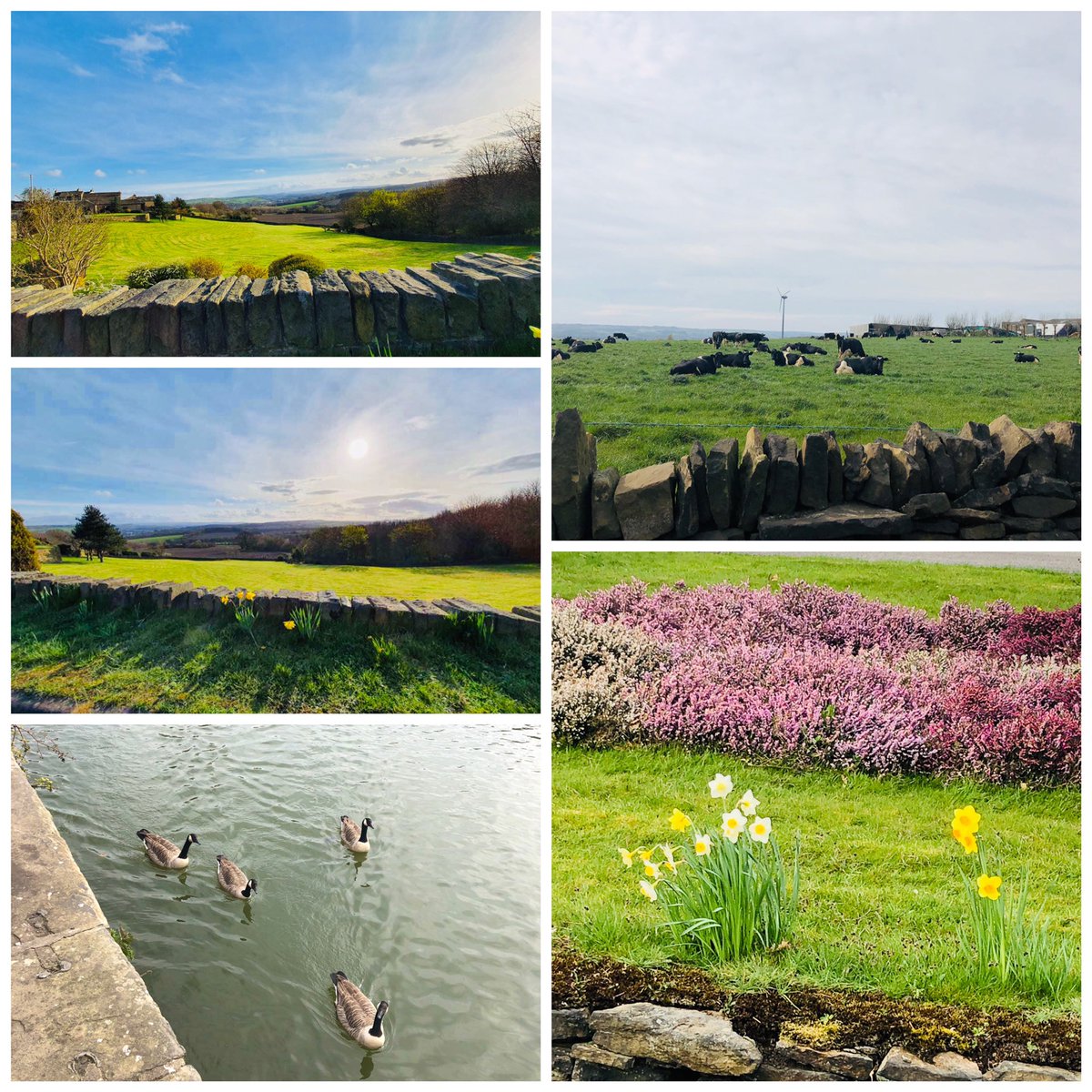 ChristineVenus's tweet photo. @roydsschool 10 Spring photos with George Bradley Year 8 #LLLGames #LiveLoveLearn https://t.co/mVJdO4PaVN