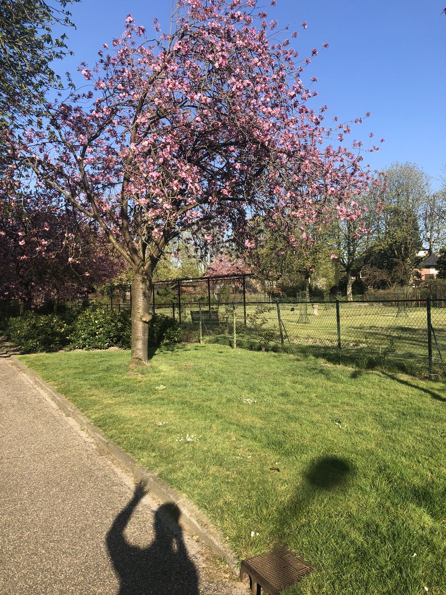 RickResarro's tweet photo. No #corona full #lockdown in #TheNetherlands so I enjoy a walk in the sun in the lovely spring sun. No time to write my #thriller today ... https://t.co/iHg7zAp8DP