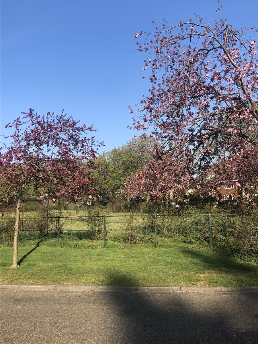 RickResarro's tweet photo. No #corona full #lockdown in #TheNetherlands so I enjoy a walk in the sun in the lovely spring sun. No time to write my #thriller today ... https://t.co/iHg7zAp8DP