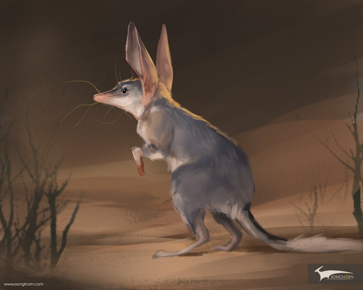 It’s Easter, so let’s celebrate the Australian Easter Bunny equivalent: the #EasterBilby!

This small marsupial is endangered due to agriculture related habitat loss, and needs support.

Read more, and help save the bilby by donating to @SaveBilbyFund at savethebilbyfund.com.