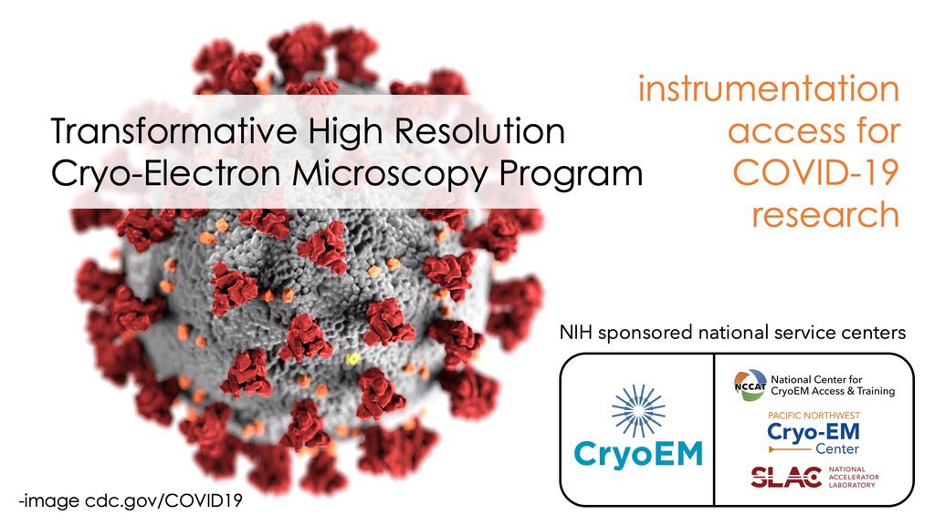 edward_eng's tweet photo. @NCCATinfo All 3 #cryoEM national service centers (https://t.co/EGMpJJxfAJ) are offering access at no cost.
NCCAT’s 2020-C3 proposal deadline is today https://t.co/Mz0vMCZVHb & RAP-c access for COVID-19 research is reviewed on a rolling basis throughout this cycle https://t.co/6lXdUWUMgb https://t.co/vvAsBblg26