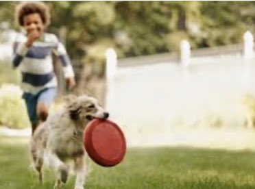 blt_junior's tweet photo. Freedom Friday is Activity Day-get outside and do your favorite outdoor activity. This can be a game with your family, building a fort, playing with a pet, doing a workout but remember that this is with your family. #freedomfridayactivities https://t.co/LcpWjQpjHX