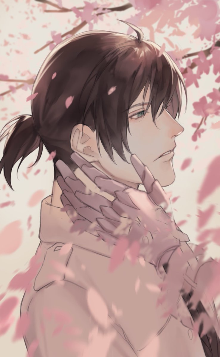 1boy male focus cherry blossoms ponytail petals parted lips black hair  illustration images