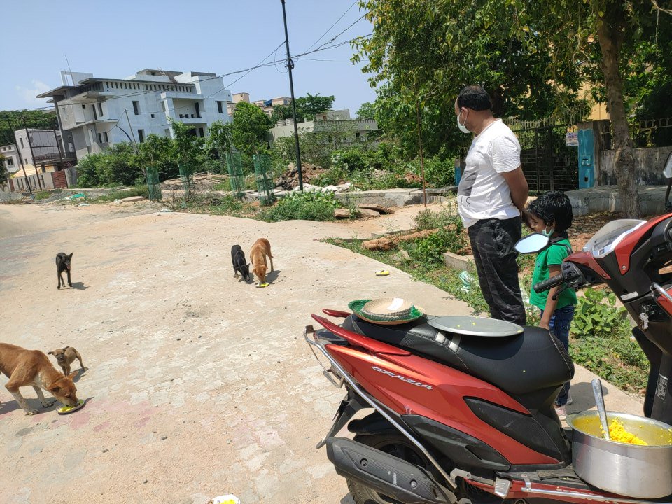 A_Biswal's tweet photo. Friends, Inspired by a lot of Animal lovers,My Family also did a small contribution of feeding the stray cattles nearby to our house at Bhubaneswar during these challenging lockdown time......I request my other friends and colleagues to do their bit also....Sharing some pics👇 https://t.co/3oCHQVdgSf