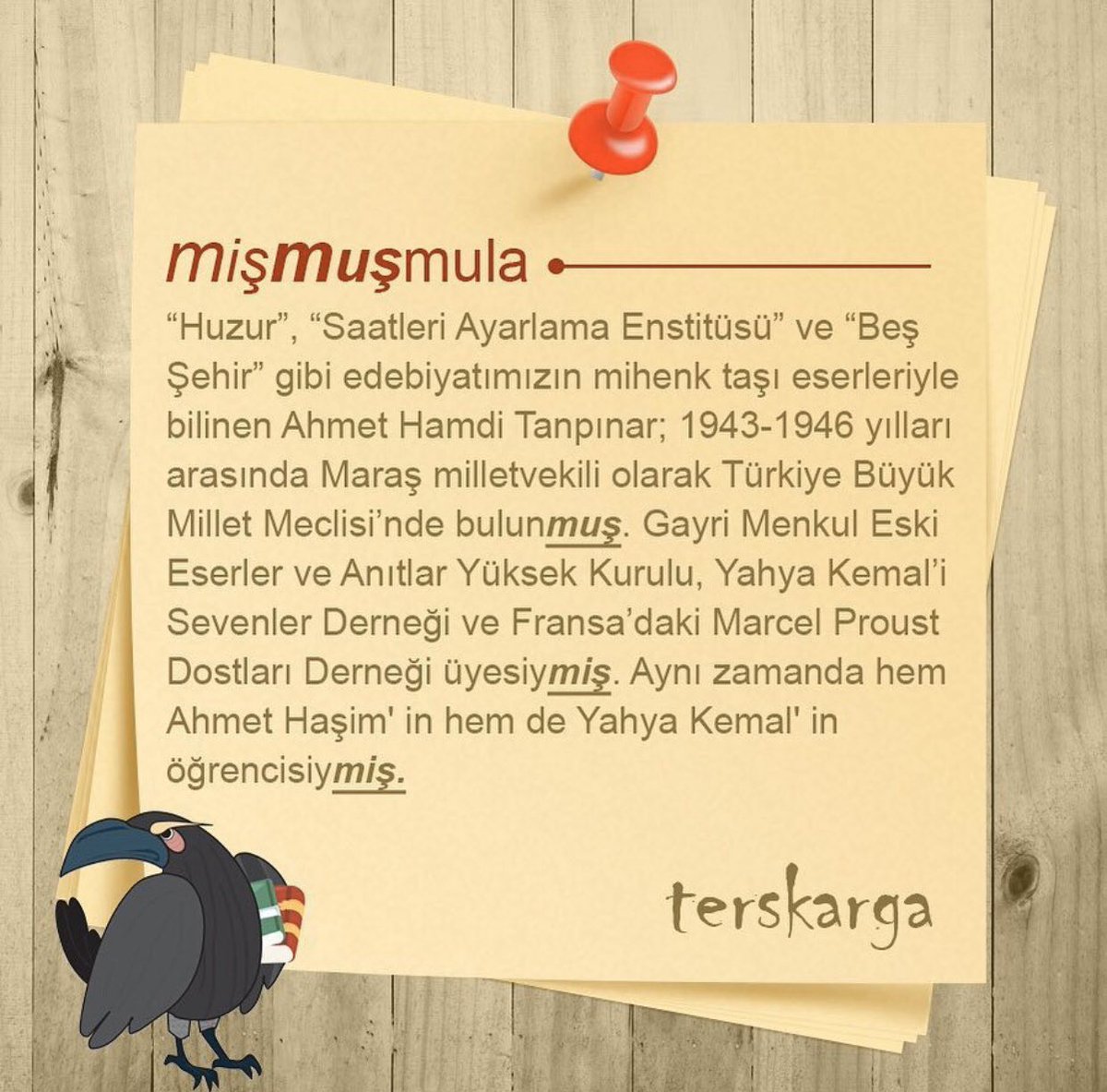 📌 MişMUŞmula 📌 #mişmuşmula #terskarga  #sabitfikirdergisi <a href="/SabitFikir/">SabitFikir</a> <a href="/terskarga/">Ters Karga</a>