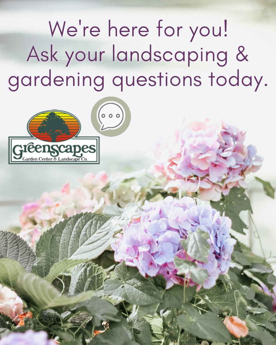 GreenScapes tweet media
