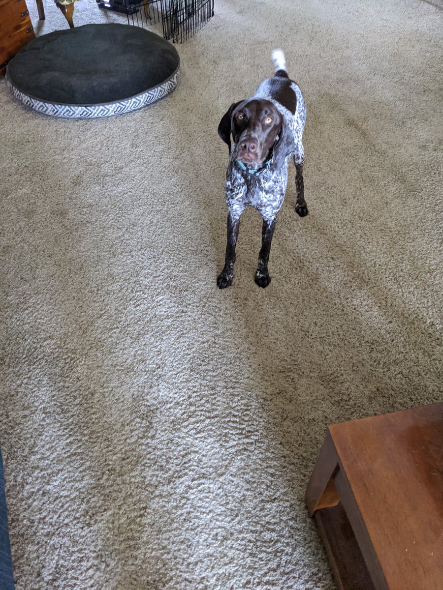 Shaken or Stirred tweet media