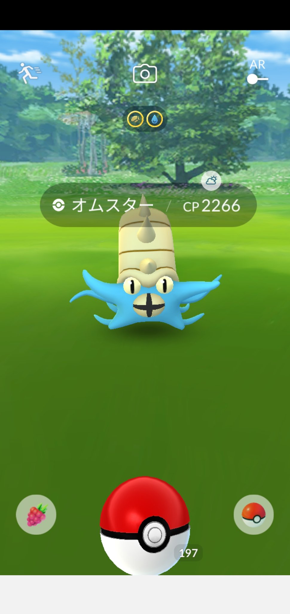 Twitter 上的 Amazinghisa 今日のポケモンgo活動1 たまごから花飾りトゲピーとピチューが産まれた 孵化の瞬間かなり良くなってビックリ 野生のオムスターと遭遇 ポケモンgo トゲピー ピチュー オムスター T Co Qikcl28iko Twitter