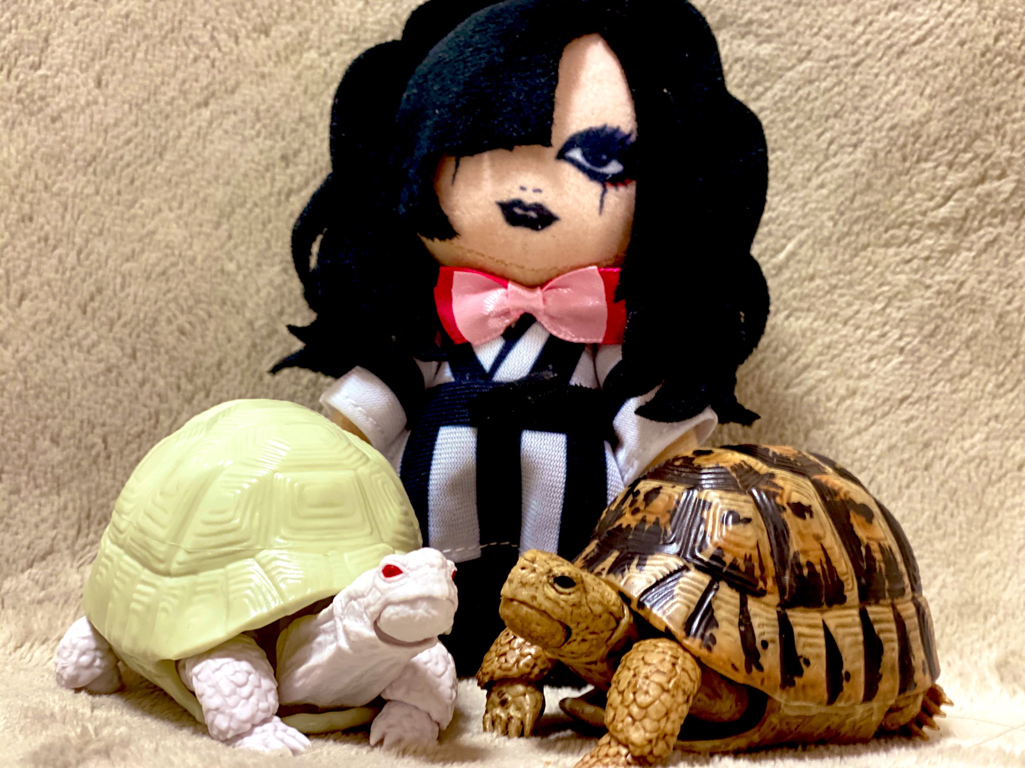 تويتر 首振りdolls Nao على تويتر 100円均一でスタイルがいいお人形用の衣装を買ってみたけど着れるわけもなく リボンだけ装着 本来腰用 のリボンが首にジャストサイズ なおちゃんは二匹のカメさんと一緒にいます 首振りdolls 首振りdollsぬいぐるみ遊び方