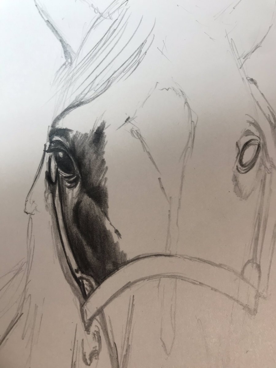 佐藤優紀 サラブレッド画家 たまには鉛筆画をやろう この黒鉛が剥がれていく感じを味わいたい時があるのよ 上手くいくかわからないけど キタサンブラックを題材にしてます きっと鉛筆画の風格が似合うと思うんです