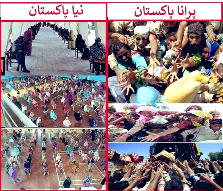 MNajeebHaroon's tweet image. #Ehsaas #EhsasProgram #EhsaasGhareebKa #EhsaasEmergencyCash