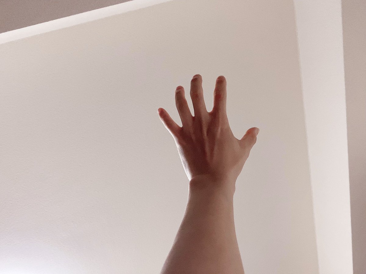 ろっしー Twitter પર だらだらモードに入ってしまうともう何をするのもめんどくさい お風呂めんどくさい トイレめんどくさい 飯食うのもめんどくさい でも飯は食う 4食 みなぎるパワー そしてまたゴロゴロする そして空に 手を伸ばす 家だ 天井だ