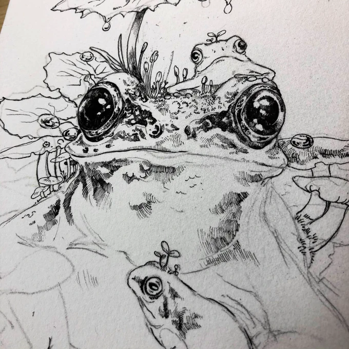 カエルの顔を描くのは楽しい 