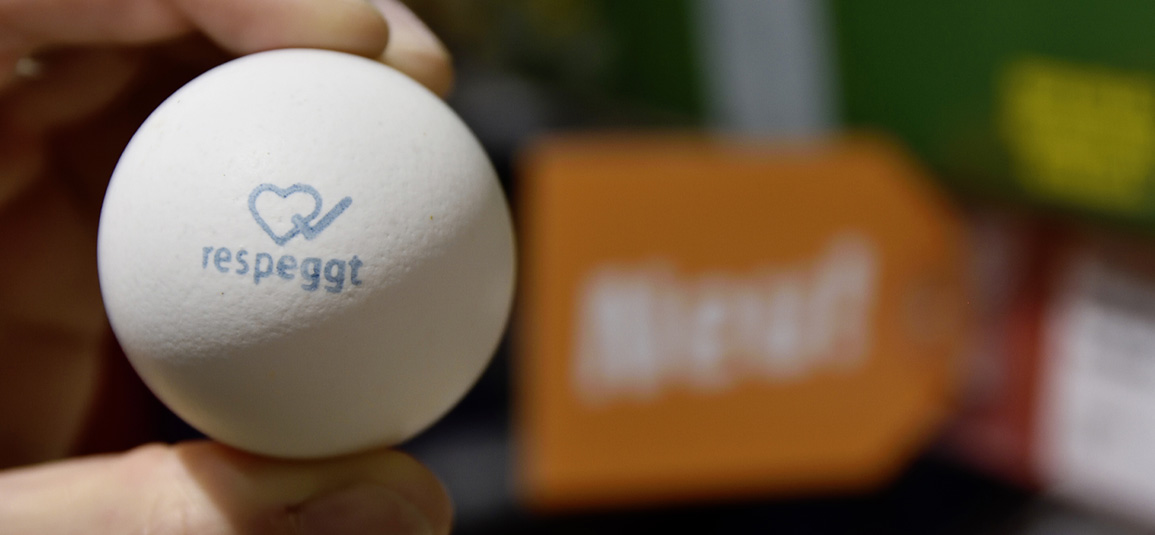 German retailer REWE keeps leading in selling Respeggt eggs! Over 5,500 REWE and PENNY stores will convert ALL of its own-branded eggs to #Respeggt eggs. HatchTech is the technology provider behind the chick sexing process.