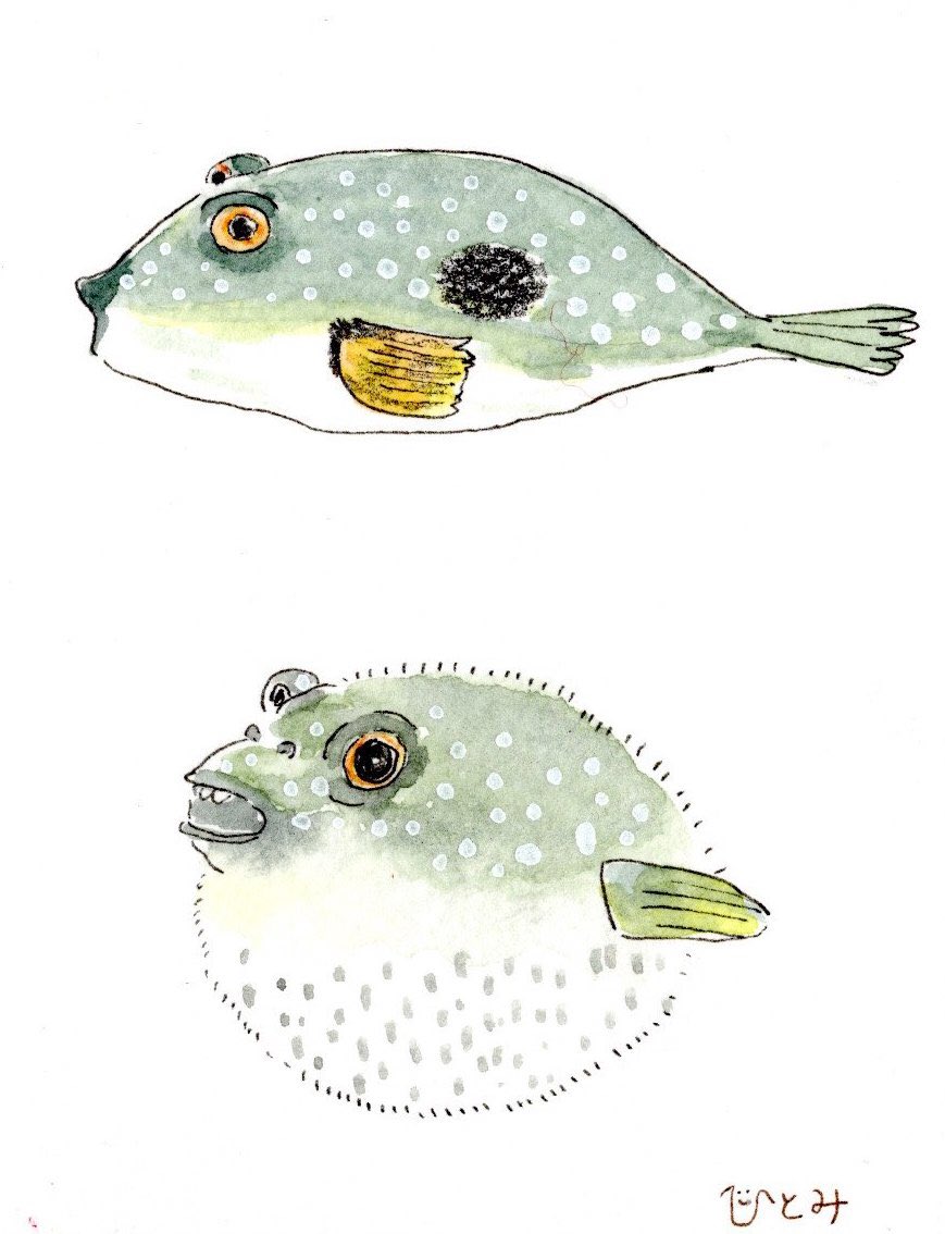 Twoucan クサフグ の注目ツイート イラスト マンガ コスプレ モデル