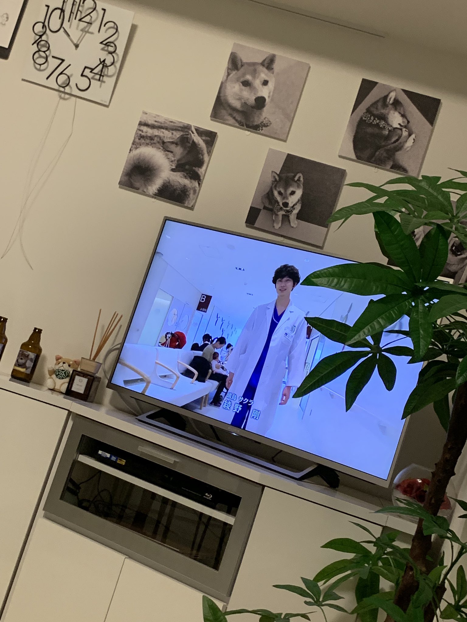 大山加奈 コウノドリ マンガ全巻揃えるくらい大好き とあるお寿司屋さんで となりのとなりに綾野剛さんが いらしたときは震えました 大山加奈 コウノドリ マンガ全巻揃えるくらい大好き とあるお寿司屋さんで となりのとなりに綾野剛さんが いらしたときは震えました