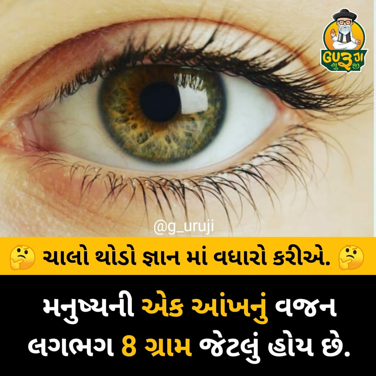LDhingamasti's tweet photo. https://t.co/9txABTactv