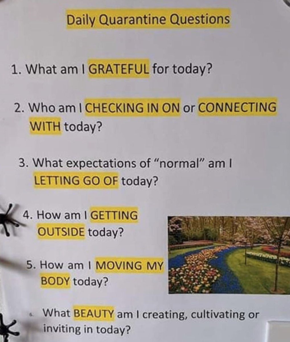 counselorstone's tweet photo. Quarantine Questions #MHSCounselorDaily https://t.co/NiNfen3PgK