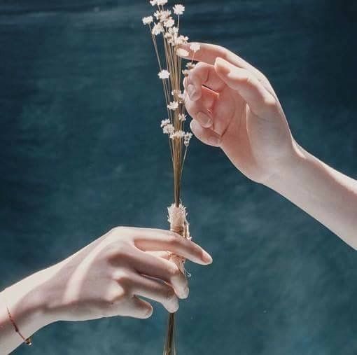 Hayat çok kısa. İdealleriniz, arzularınız ve en önemlisi sevginiz için yaşamayı unutmayın. Kalpten istediğiniz her neyse onun için mücadele etmeyi bırakmayın. Eğer inanıyorsanız yollar size kendiliğinden çiçeklenecektir. Umudunuz yanınızda olduktan sonra yollar hep gökyüzü..