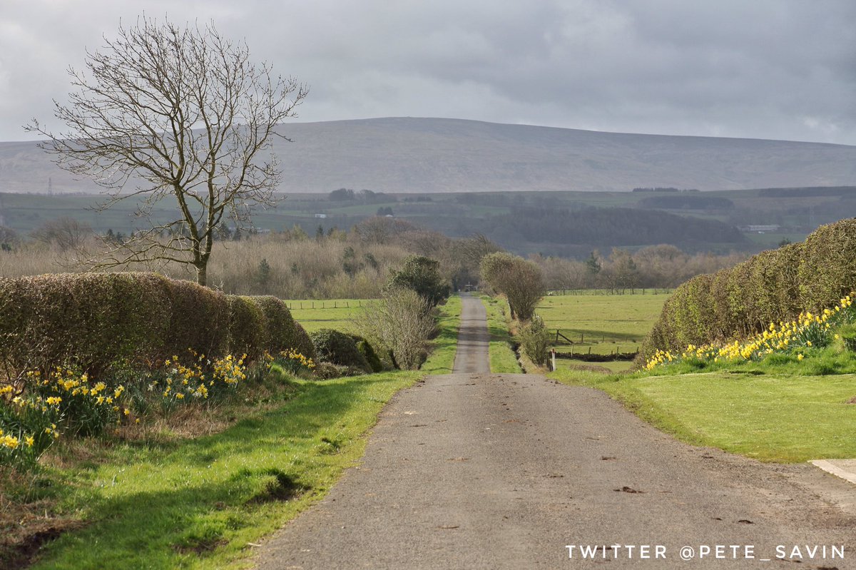 pete_savin's tweet photo. A little tarmac to tread heading north but a glance back reveals the north Pennines, familiar to those on the #HadriansHighWay route with me last week https://t.co/YOI2qNZpgG