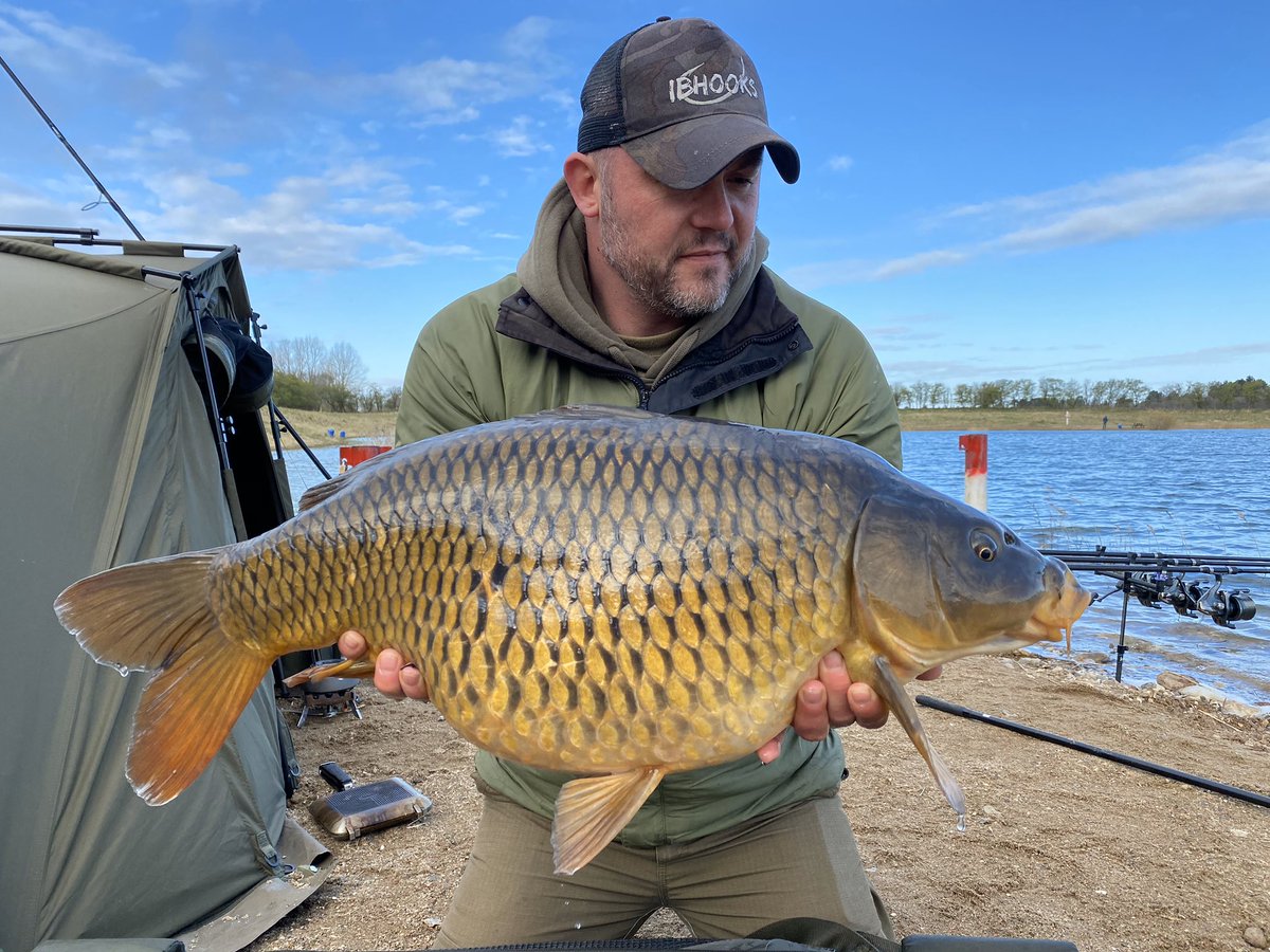 DanishBig's tweet photo. Angler Mikkel Riis Christensen with some lovely fish from his reason session.@ccmoore_baits @kudostackle @ShimanoTribal #ibhooks #carpfishing #danishbiggame #catchandrelease #mooremeansmore @Trakker_Carp #tempestlife https://t.co/FQSXw0n81G