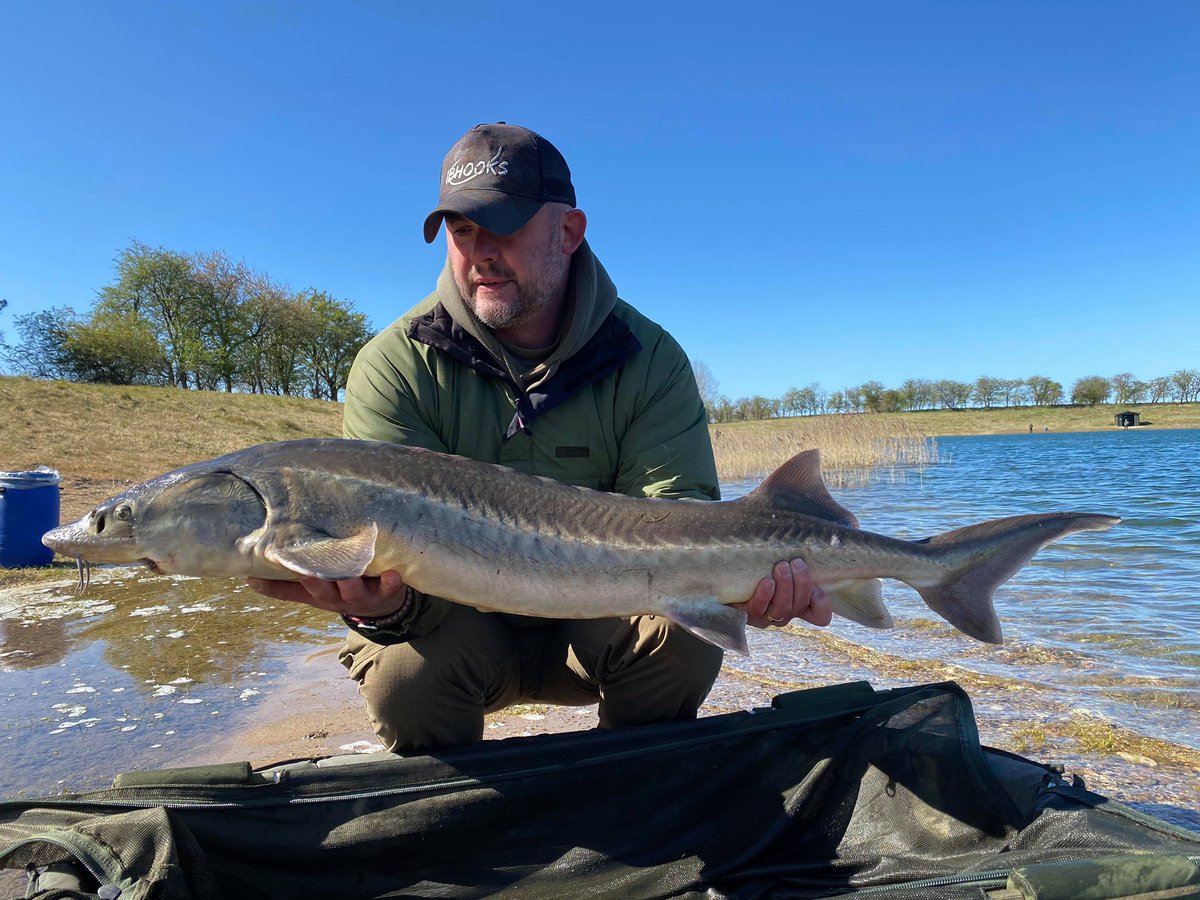DanishBig's tweet photo. Angler Mikkel Riis Christensen with some lovely fish from his reason session.@ccmoore_baits @kudostackle @ShimanoTribal #ibhooks #carpfishing #danishbiggame #catchandrelease #mooremeansmore @Trakker_Carp #tempestlife https://t.co/FQSXw0n81G