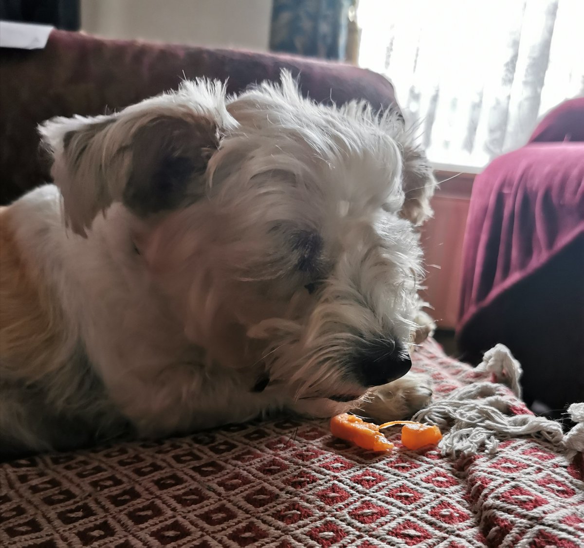 Have a Carroty Friday!
