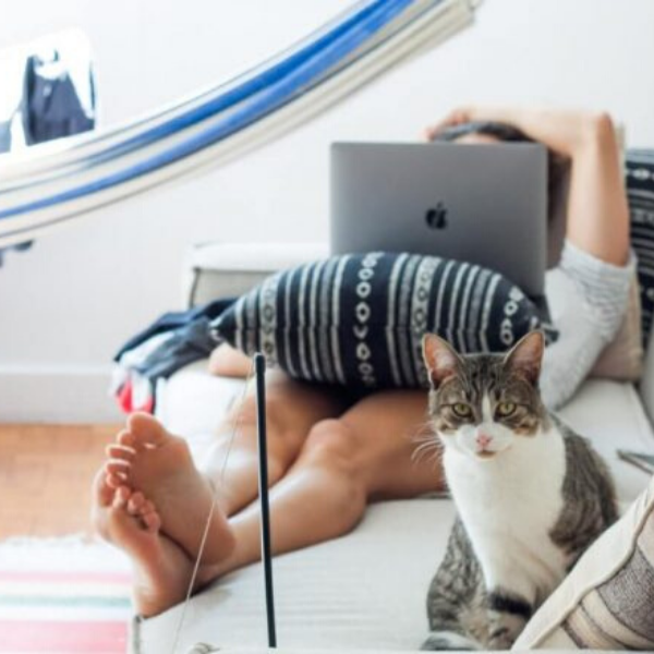 Attention Animation &amp; Game Studios who need help supporting their remote creative teams:  Artella has reduced its minimum user requirements from 100  to 50 seats and is waiving all setup fees  during the crisis. See how it works and book a demo at artella.com