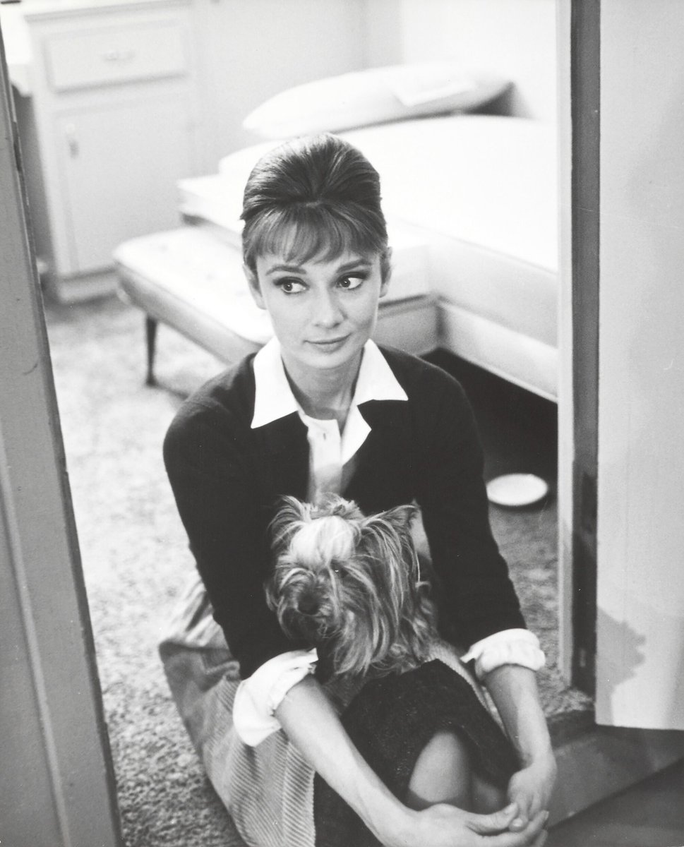 Audrey Hepburn and Mr. Famous photographed by Pierluigi Praturlon on the set of The Children's Hour, 1961 #NationalHugYourDogDay