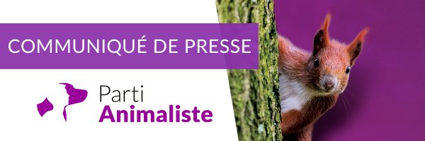 PartiAnimaliste's tweet photo. Le Parti animaliste demande des mesures d'urgence #COVID19 pour les animaux :
✅ Reprise des adoptions dans les refuges
✅Autorisation de se déplacer en vue d'adopter un animal
✅Accueil des sans-abris avec leur animal dans les lieux de confinement, etc. 👉https://t.co/ZCyo73MJC4 https://t.co/84aYEaegDF