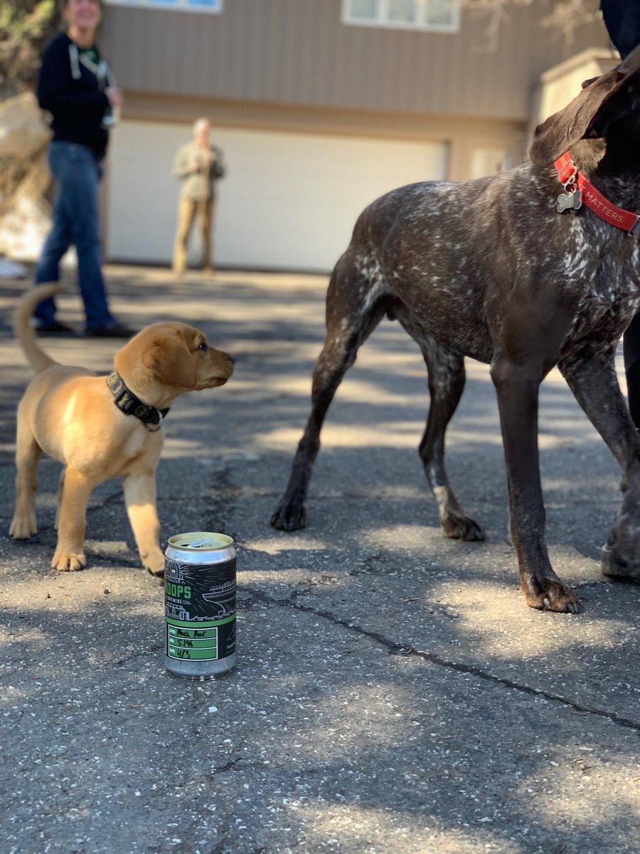 hoopsbrewing's tweet photo. Good morning, just a teaser this week we brewed No.19 Driveway Beer, watch for the release a special pale ale brewed with ❤️. #WeWillGetThroughThis #hoopsbrewing #drivewaybeers https://t.co/bx5EakxYiM