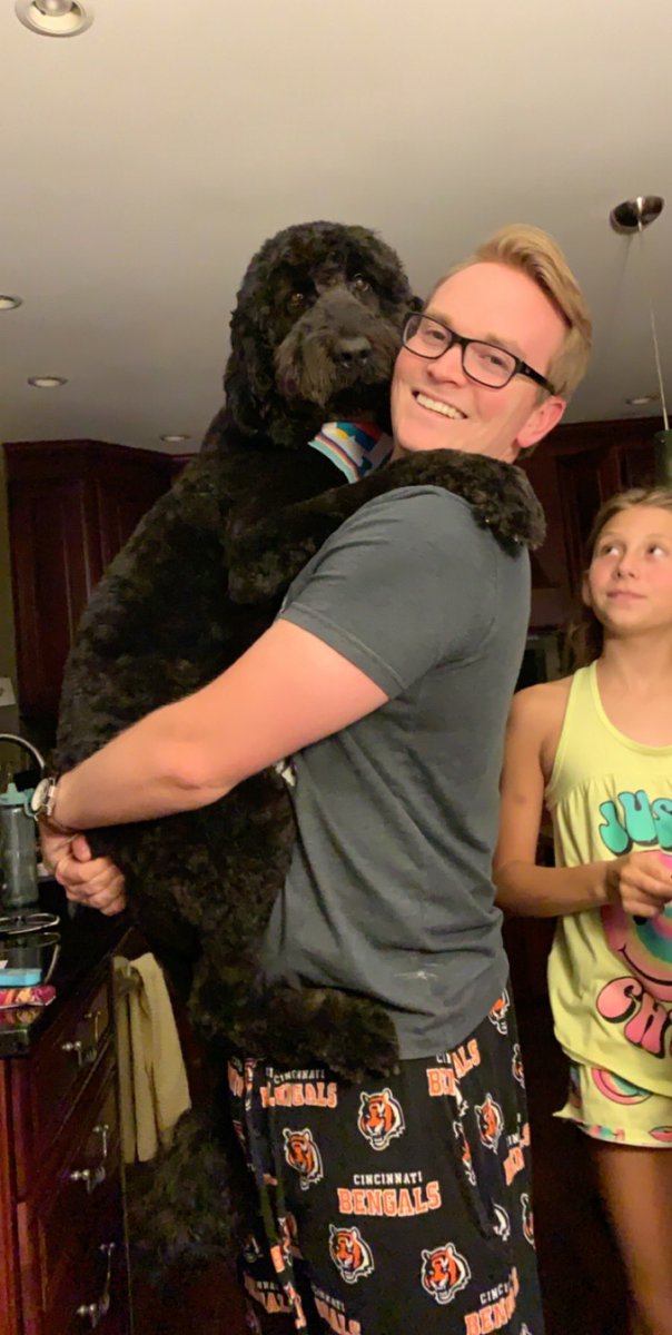 RjGearding's tweet image. A day late to the party, but here’s Remy right after visiting the groomer.